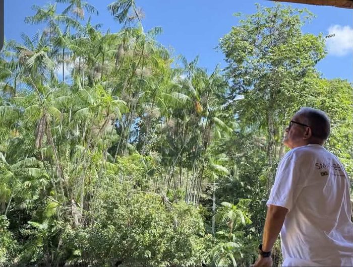 Des palmiers açaí, hauts et fins, sous le ciel bleu d’Amazonie ; un homme en t-shirt Smashberry les regarde.