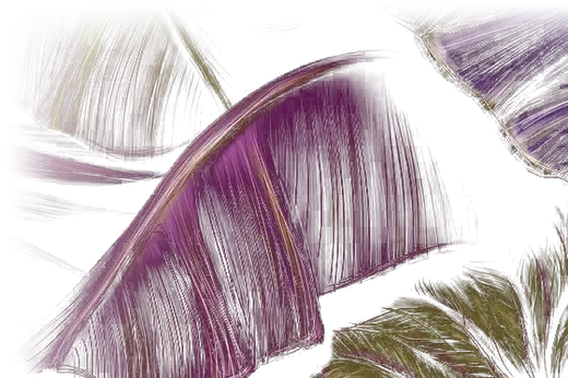 Smashberry tropical foliage
