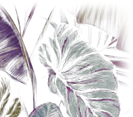 Smashberry tropical foliage
